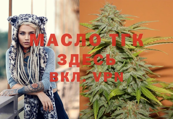 соль ск Михайлов