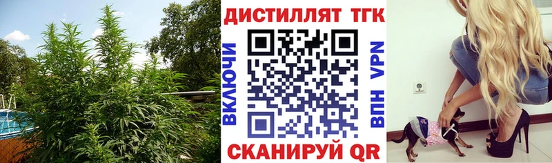 ТГК THC oil  Правдинск 